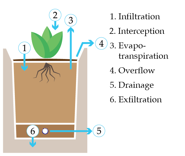 Bioretention Scoping Review – Sylvie Spraakman